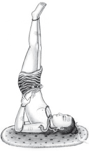 Иллюстрация к книге — Йога и аюрведа в 10 простых уроках [i_059.jpg]