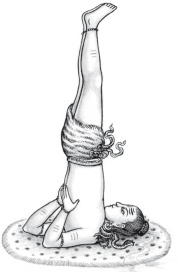 Иллюстрация к книге — Йога и аюрведа в 10 простых уроках [i_060.jpg]