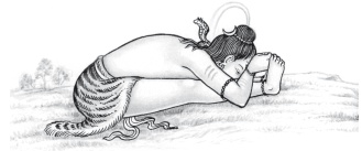 Иллюстрация к книге — Йога и аюрведа в 10 простых уроках [i_065.jpg]