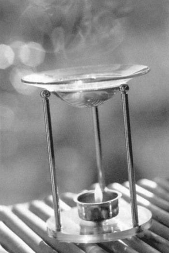 Иллюстрация к книге — Медитация в ванне [i_025.jpg]