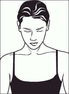 Иллюстрация к книге — Настольная книга гейши [_02.jpg]