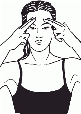 Иллюстрация к книге — Настольная книга гейши [_04.jpg]