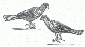 Иллюстрация к книге — Настольная книга гейши [_103.jpg]