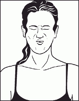 Иллюстрация к книге — Настольная книга гейши [_15.jpg]