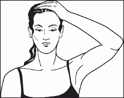 Иллюстрация к книге — Настольная книга гейши [_20.jpg]