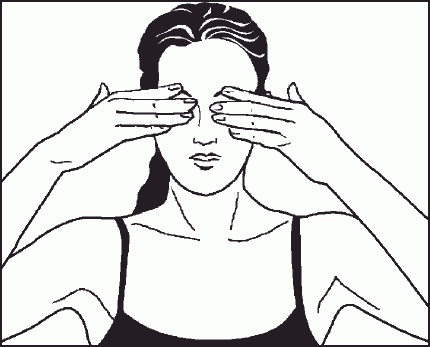 Иллюстрация к книге — Настольная книга гейши [_26.jpg]