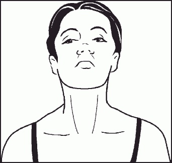 Иллюстрация к книге — Настольная книга гейши [_35.jpg]