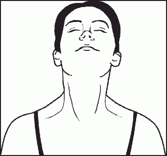 Иллюстрация к книге — Настольная книга гейши [_36.jpg]