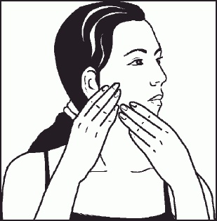 Иллюстрация к книге — Настольная книга гейши [_38.jpg]