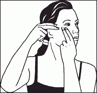 Иллюстрация к книге — Настольная книга гейши [_44.jpg]