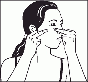 Иллюстрация к книге — Настольная книга гейши [_46.jpg]