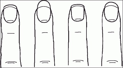 Иллюстрация к книге — Настольная книга гейши [_55.jpg]