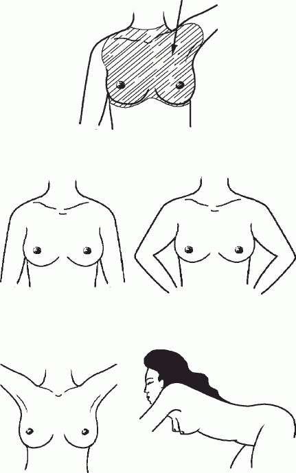 Иллюстрация к книге — Настольная книга гейши [_58.jpg]