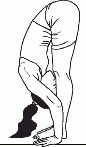 Иллюстрация к книге — Настольная книга гейши [_61.jpg]