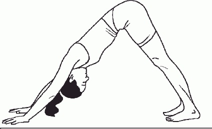 Иллюстрация к книге — Настольная книга гейши [_65.jpg]