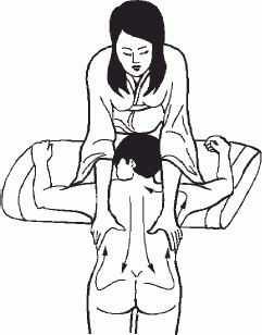 Иллюстрация к книге — Настольная книга гейши [_75.jpg]