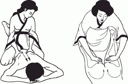 Иллюстрация к книге — Настольная книга гейши [_80.jpg]