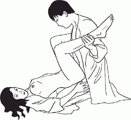 Иллюстрация к книге — Настольная книга гейши [_84.jpg]