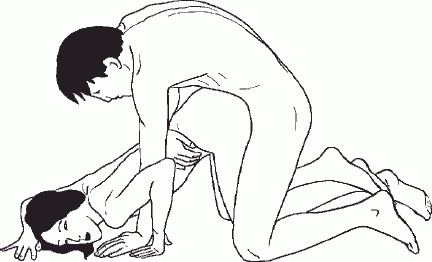 Иллюстрация к книге — Настольная книга гейши [_91.jpg]