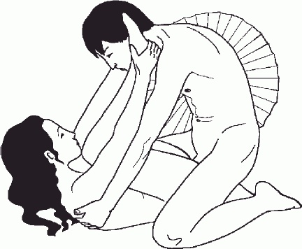 Иллюстрация к книге — Настольная книга гейши [_93.jpg]