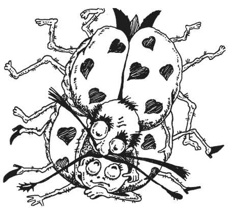 Иллюстрация к книге — Странности животной сексуальности. Как они делают это...? [i_007.jpg]