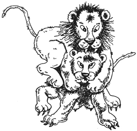 Иллюстрация к книге — Странности животной сексуальности. Как они делают это...? [i_010.jpg]