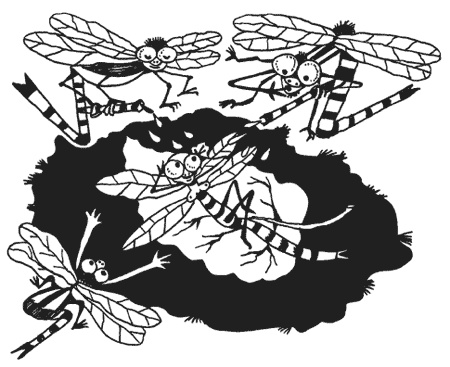 Иллюстрация к книге — Странности животной сексуальности. Как они делают это...? [i_013.jpg]