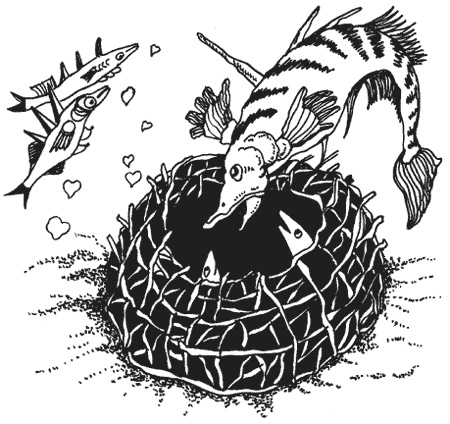 Иллюстрация к книге — Странности животной сексуальности. Как они делают это...? [i_017.jpg]