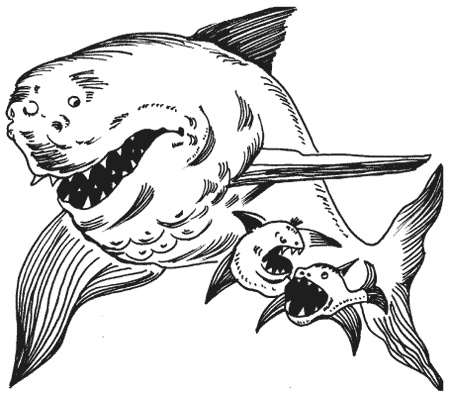 Иллюстрация к книге — Странности животной сексуальности. Как они делают это...? [i_018.jpg]