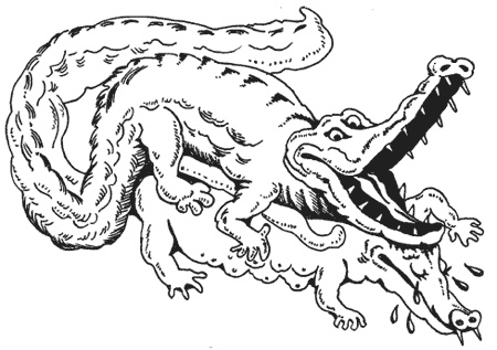 Иллюстрация к книге — Странности животной сексуальности. Как они делают это...? [i_019.jpg]