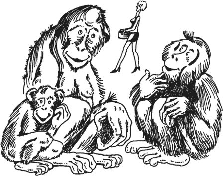 Иллюстрация к книге — Странности животной сексуальности. Как они делают это...? [i_022.jpg]