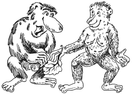 Иллюстрация к книге — Странности животной сексуальности. Как они делают это...? [i_023.jpg]