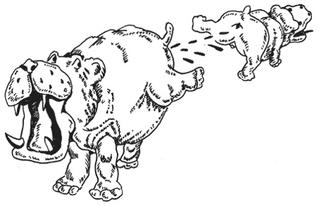 Иллюстрация к книге — Странности животной сексуальности. Как они делают это...? [i_027.jpg]