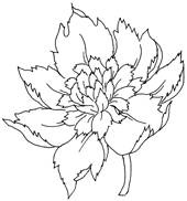 Иллюстрация к книге — Женские секреты любви [i_001.jpg]