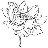 Иллюстрация к книге — Женские секреты любви [i_007.jpg]