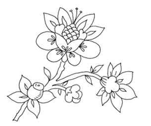 Иллюстрация к книге — Стиль жизни - успех! [i_001.jpg]