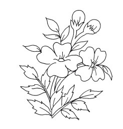 Иллюстрация к книге — Я желаю вам здоровья! [i_001.jpg]