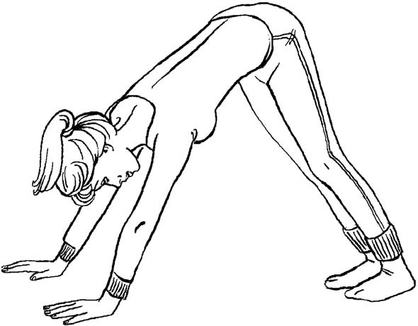 Иллюстрация к книге — Я желаю вам здоровья! [i_011.jpg]