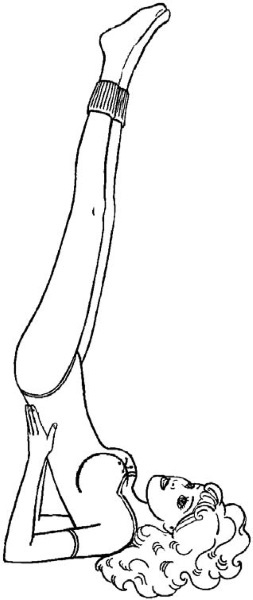 Иллюстрация к книге — Я желаю вам здоровья! [i_016.jpg]