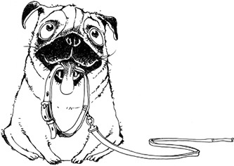 Иллюстрация к книге — Молли Мун покоряет мир [pic_2.jpg]