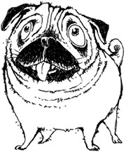 Иллюстрация к книге — Молли Мун покоряет мир [pic_5.jpg]