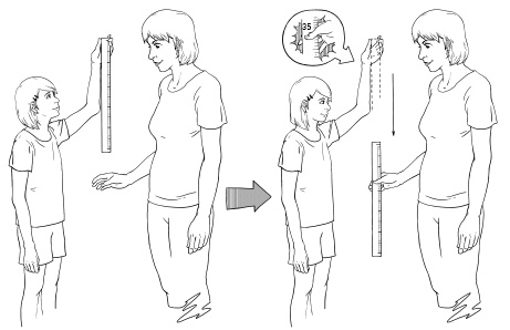 Иллюстрация к книге — 120 на 80. Книга о том, как победить гипертонию, а не снижать давление [Autogen_eBook_id11.jpg]