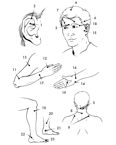Иллюстрация к книге — 120 на 80. Книга о том, как победить гипертонию, а не снижать давление [Autogen_eBook_id5.jpg]