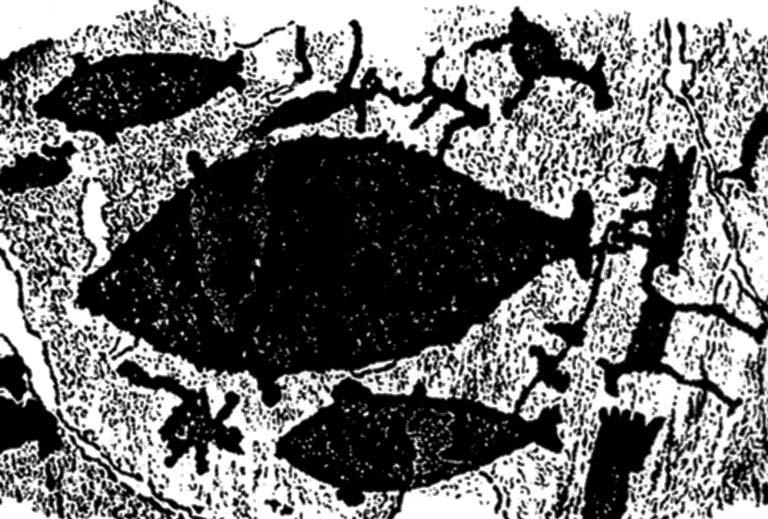 Иллюстрация к книге — Финское солнце [i_007.jpg]