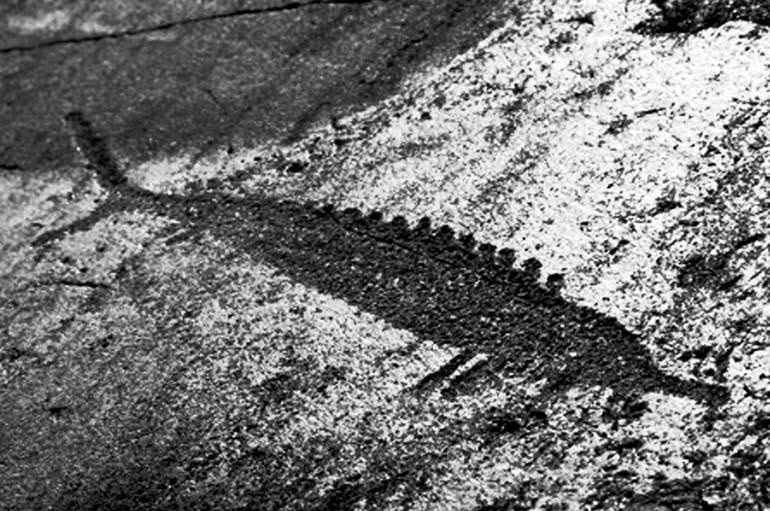 Иллюстрация к книге — Финское солнце [i_009.jpg]