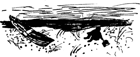 Иллюстрация к книге — Кто я такой, чтоб не пить. Собрание произведений. Двадцать первый век [_037.jpg]