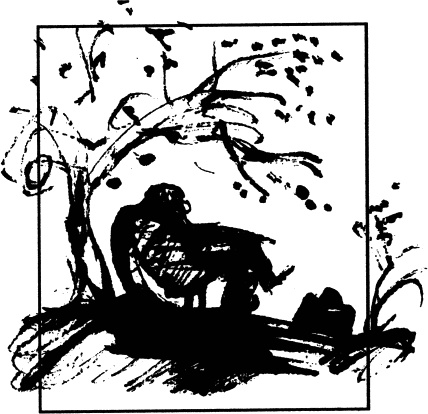 Иллюстрация к книге — Кто я такой, чтоб не пить. Собрание произведений. Двадцать первый век [_257.jpg]