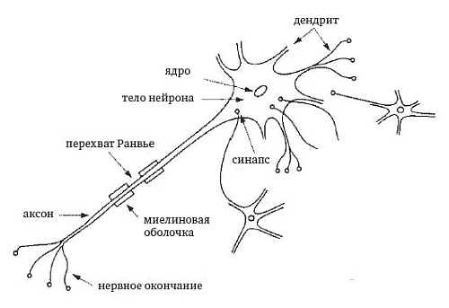 Иллюстрация к книге — Свободный сон наяву. Новый терапевтический подход [i_004.jpg]