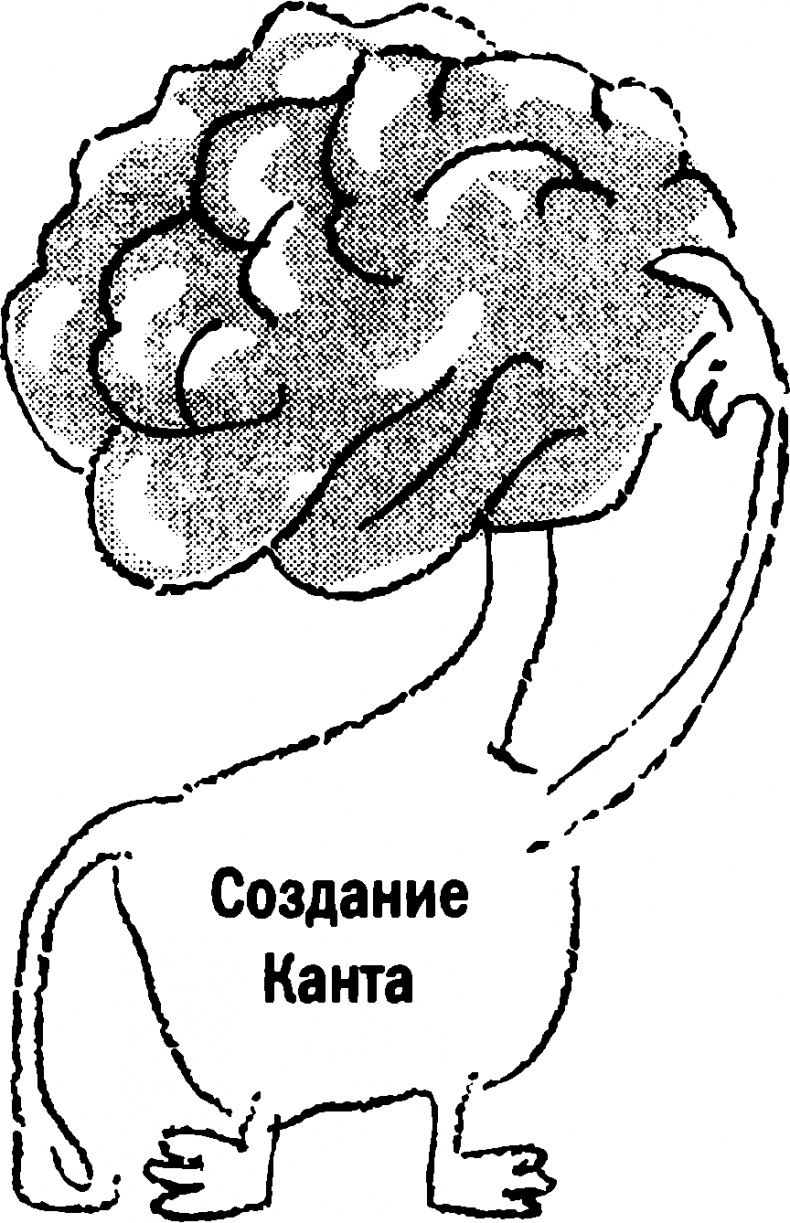 Иллюстрация к книге — Мораль и разум. Как природа создавала наше универсальное чувство добра и зла [img_1.jpg]