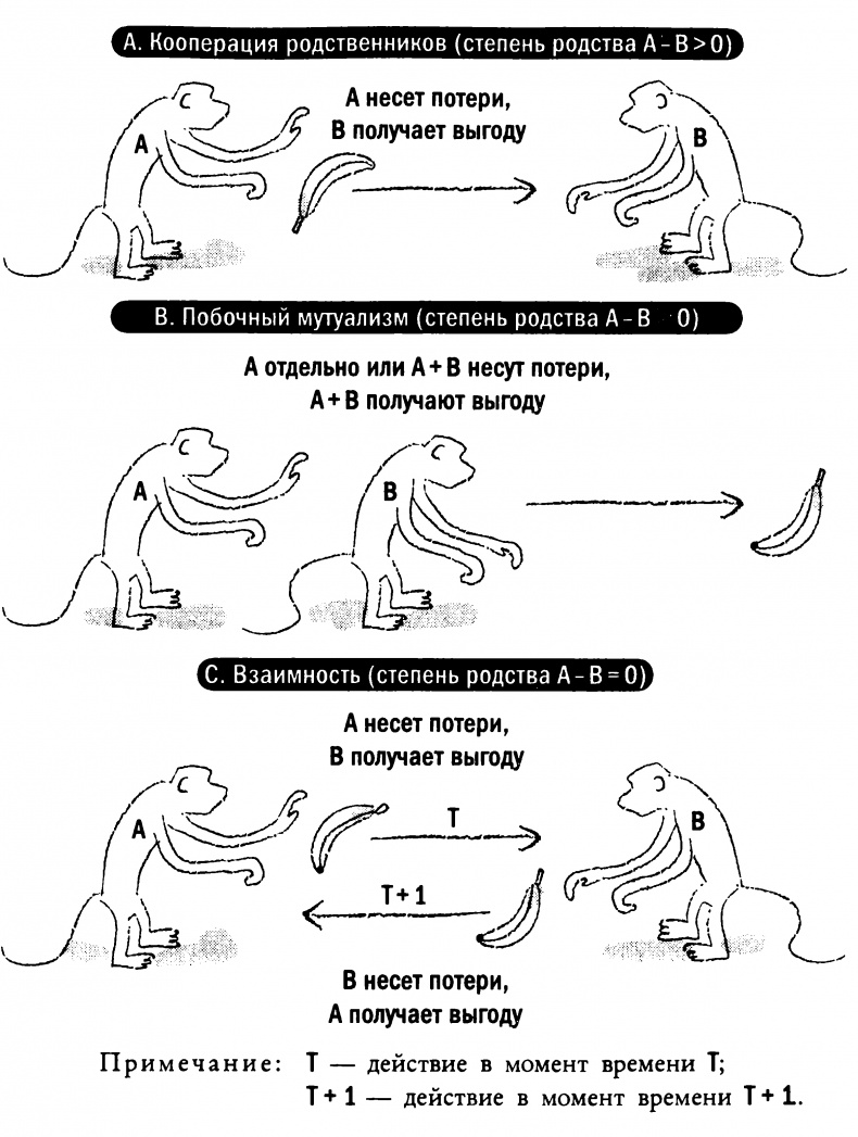 Иллюстрация к книге — Мораль и разум. Как природа создавала наше универсальное чувство добра и зла [img_20.jpg]